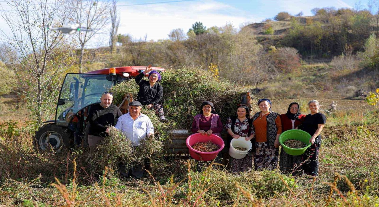 Üreticiden ihtiyaç sahiplerine uzanan dayanışma ağı