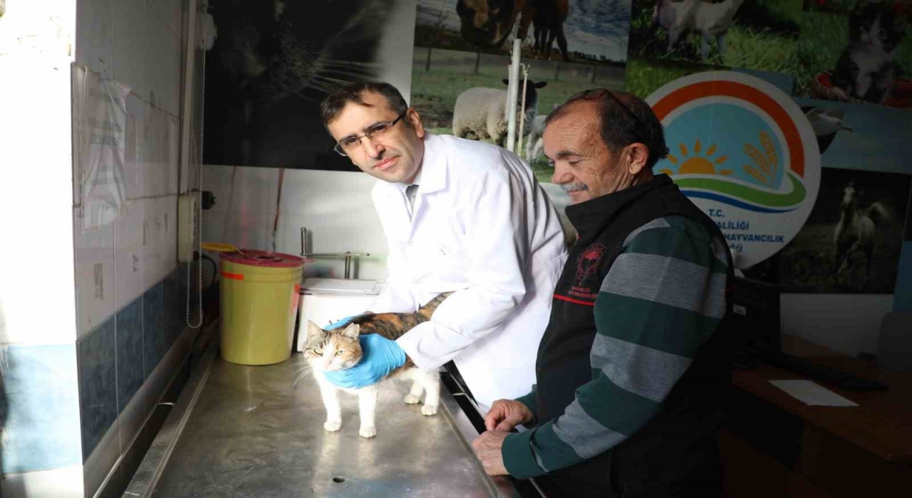 Uşakta kedi ve köpek sahiplerine mikroçip uyarısı