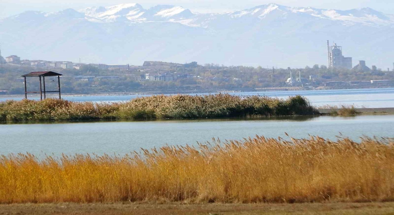 Van Gölü Havzası, Türkiyenin en fazla sulak alanına ev sahipliği yapıyor