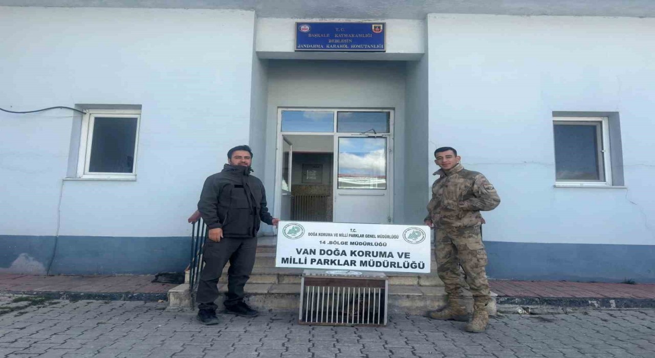 Vanda kafes avcısına 29 bin 140 lira  caza