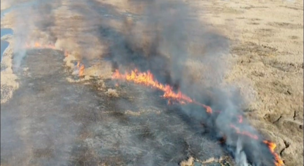 Vanda sazlık yangını