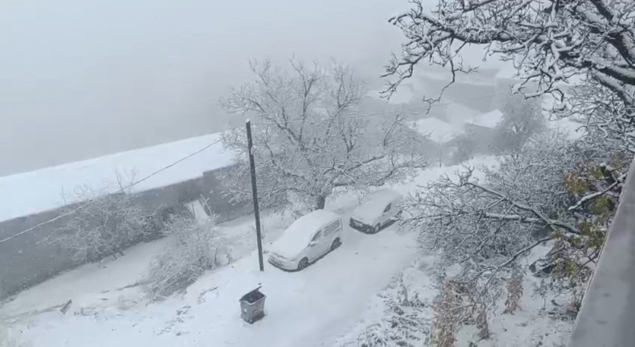 Vanın Bahçesaray ilçesinde kar etkili oldu