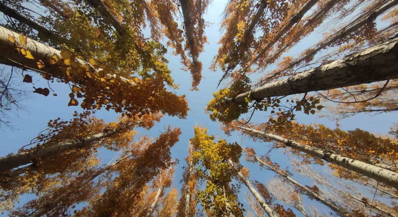 Vanın sonbahar güzelliği: Van Kalesi ve Atatürk Kültür Parkı ziyaretçilerin gözdesi oldu