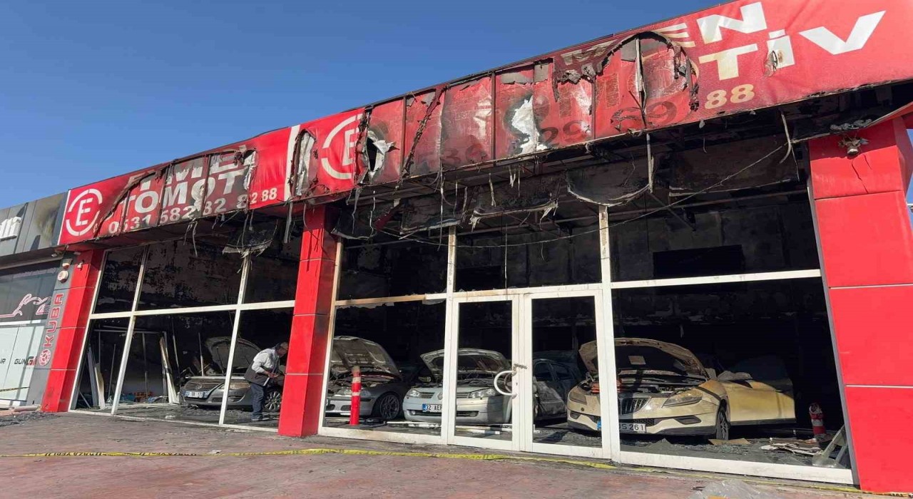 Yakalanan kundakçı suçunu itiraf etti