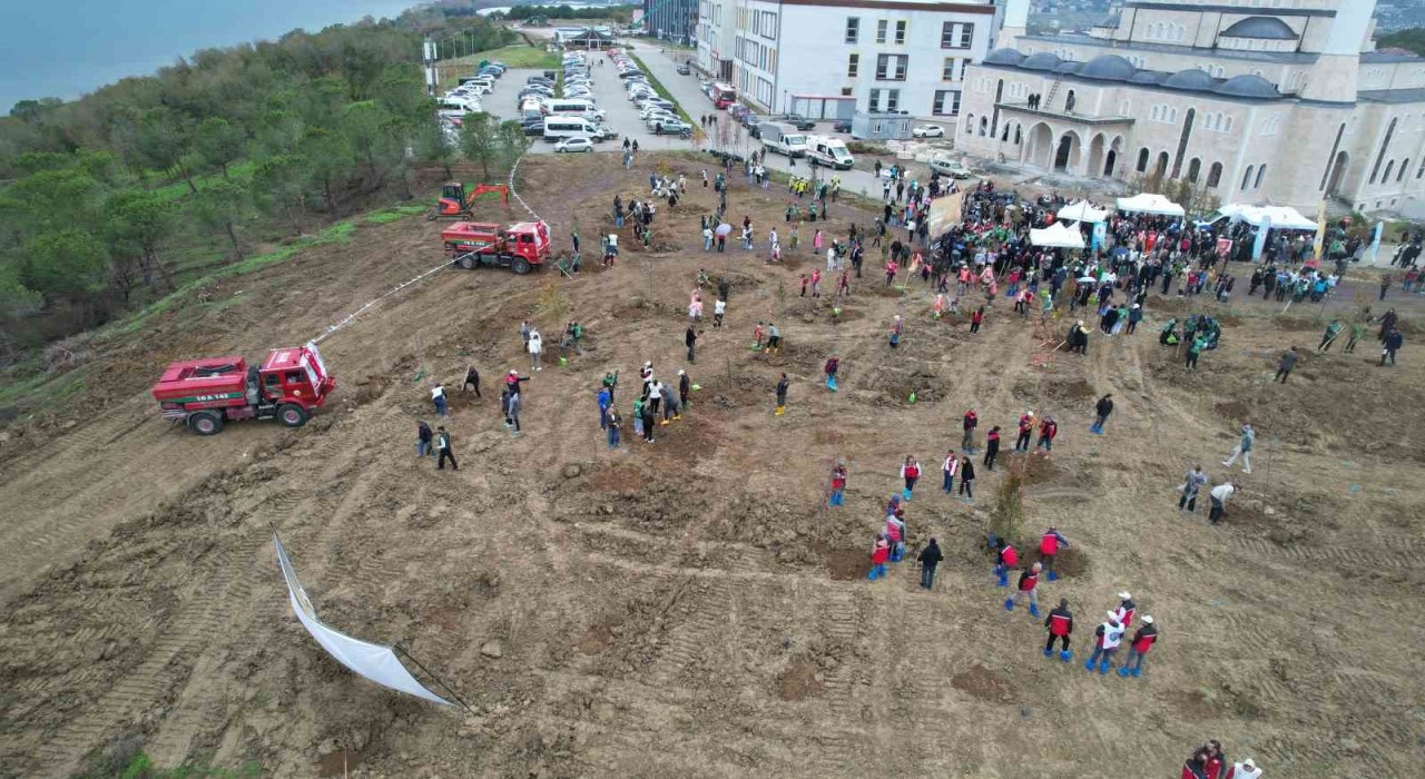 Yalovada fidanlar toprakla buluşturuldu