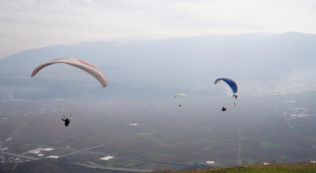 Yanan ormanlar için gökyüzünden paraşütle tohum yağdı