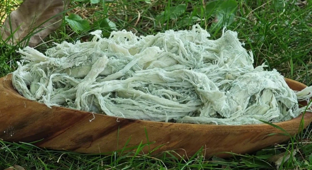 Yayladan sofraya doğal antibiyotik: Erzurumun göğermiş peyniri