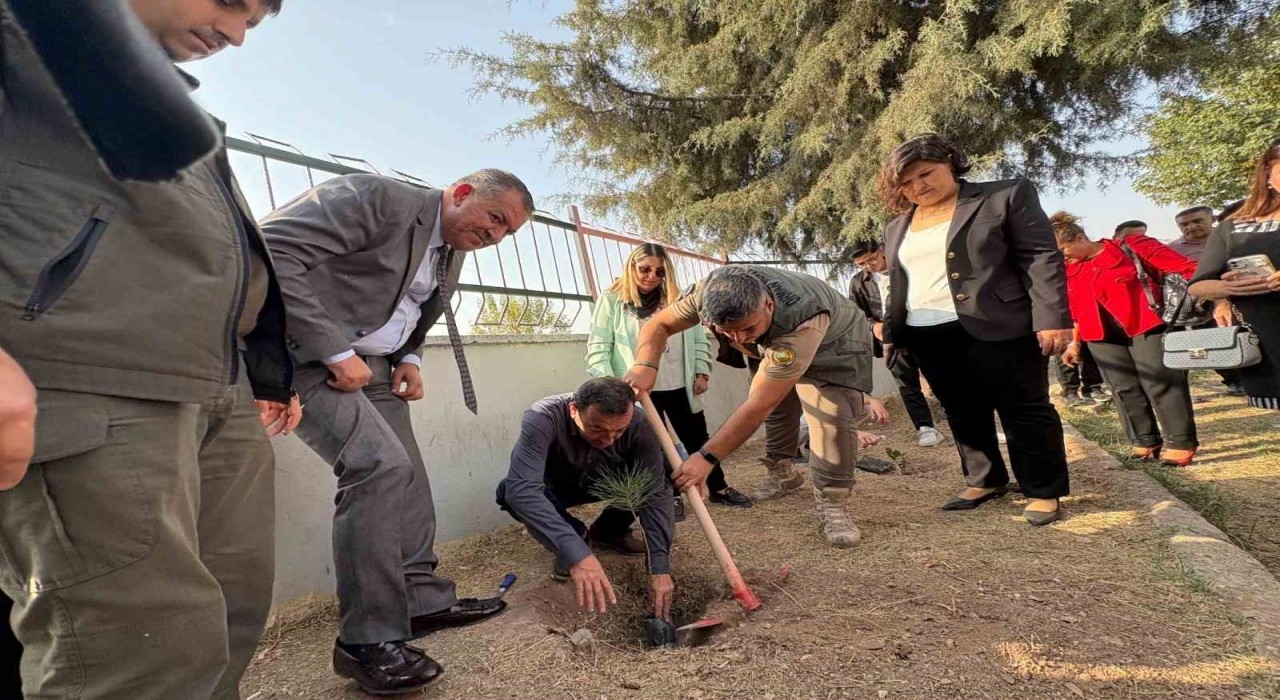 Yeşil vatan için Toroslar MESEMde fidanlar toprakla buluştu