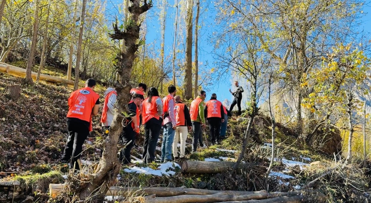 Yüksekovada erozyonla mücadele için fidan dikme etkinliği
