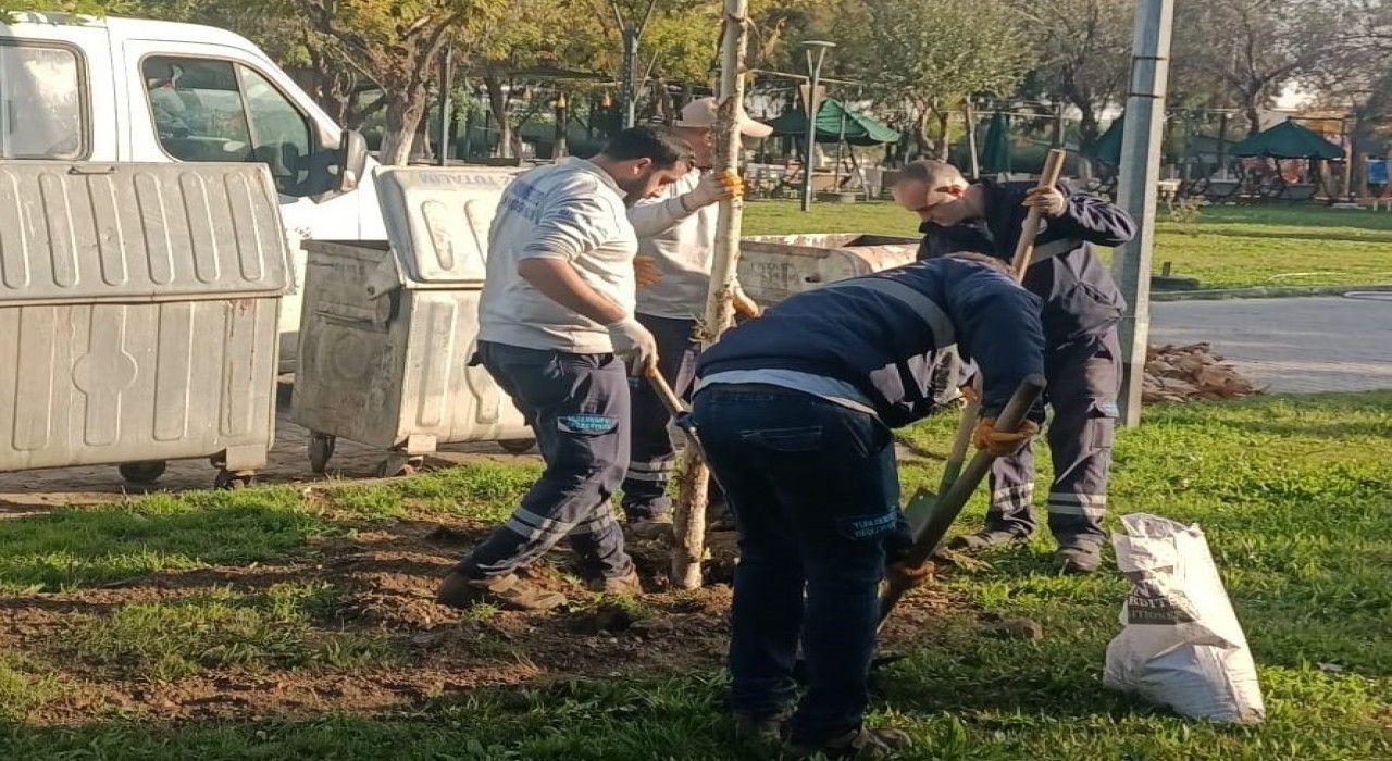 Yunusemrede ağaçlandırma çalışmaları sürüyor