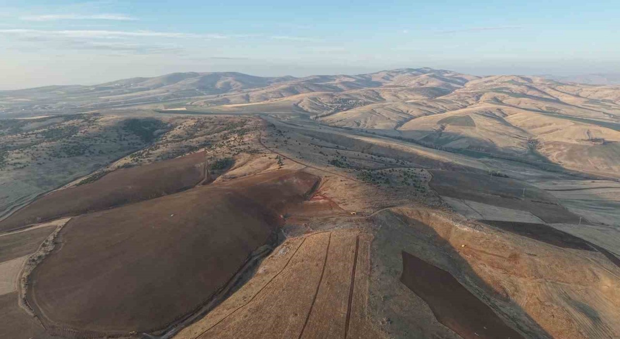 Yüzlerce ağacın kesilmesine vatandaşlardan tepki: 40 yılda büyüdü, 4 gün de yok edildi