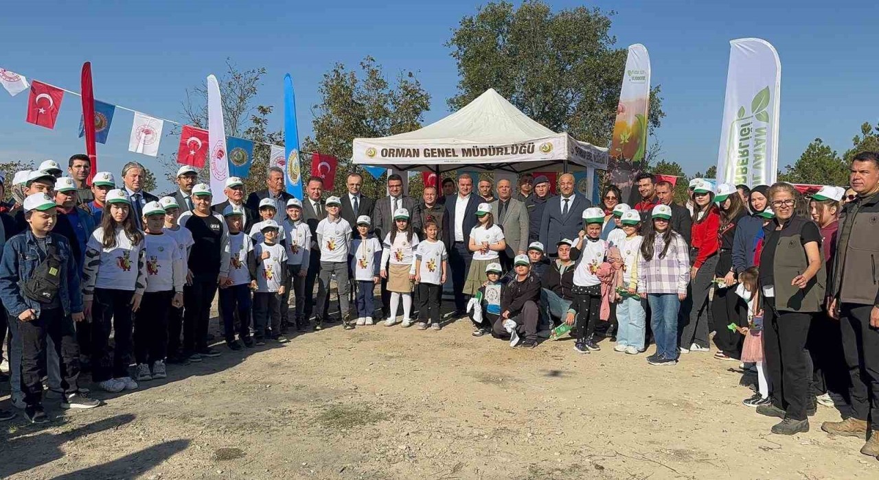 Zonguldakta fidan diktiler