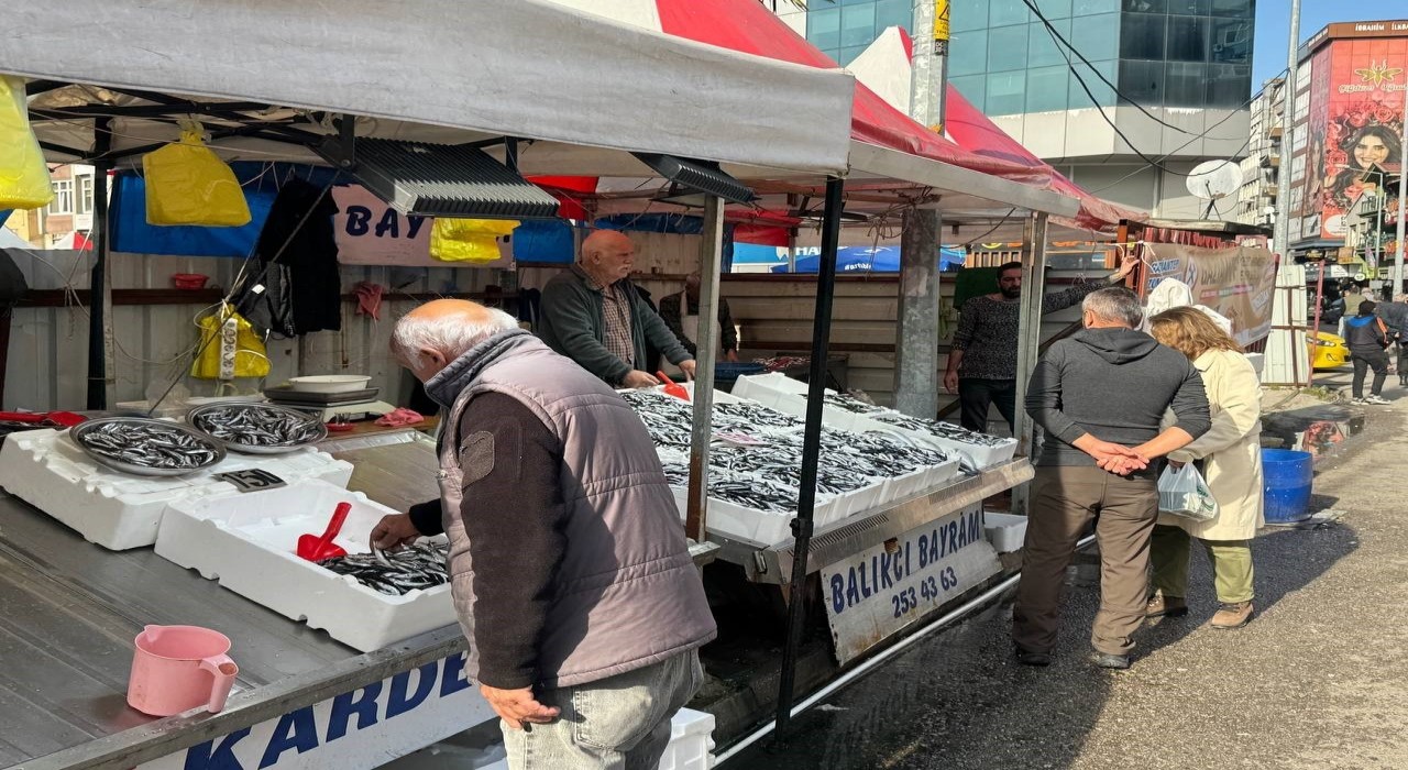 Zonguldakta hamsi azaldı, fiyatlar yeniden yükselişte