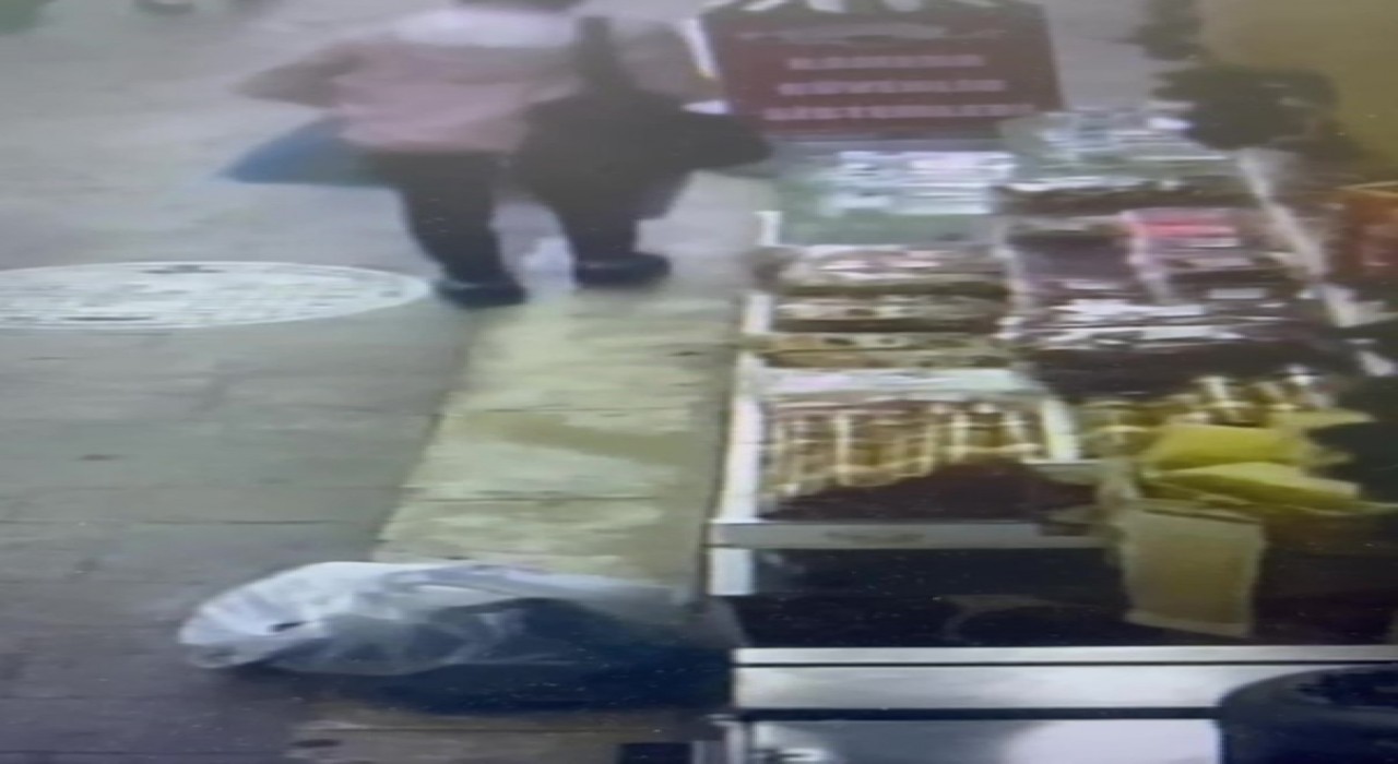 Zonguldakta kuruyemişçiden ceviz hırsızlığı güvenlik kamerasında