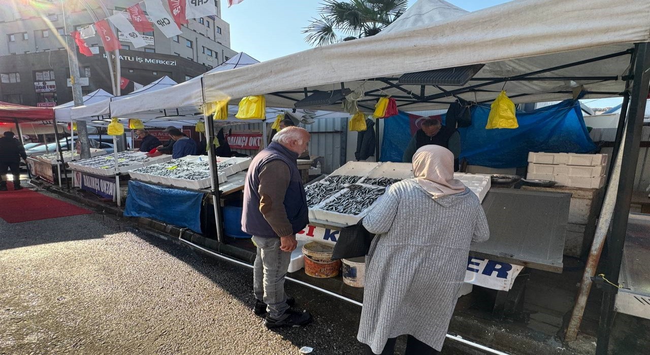 Zonguldakta tezgahtaki hamsi yerini diğer çeşit balıklara bırakıyor
