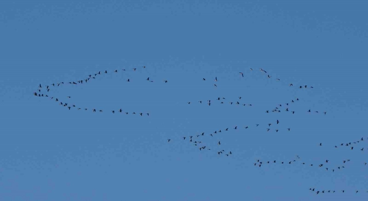 Zorlu göçün durağı Erçek Gölü