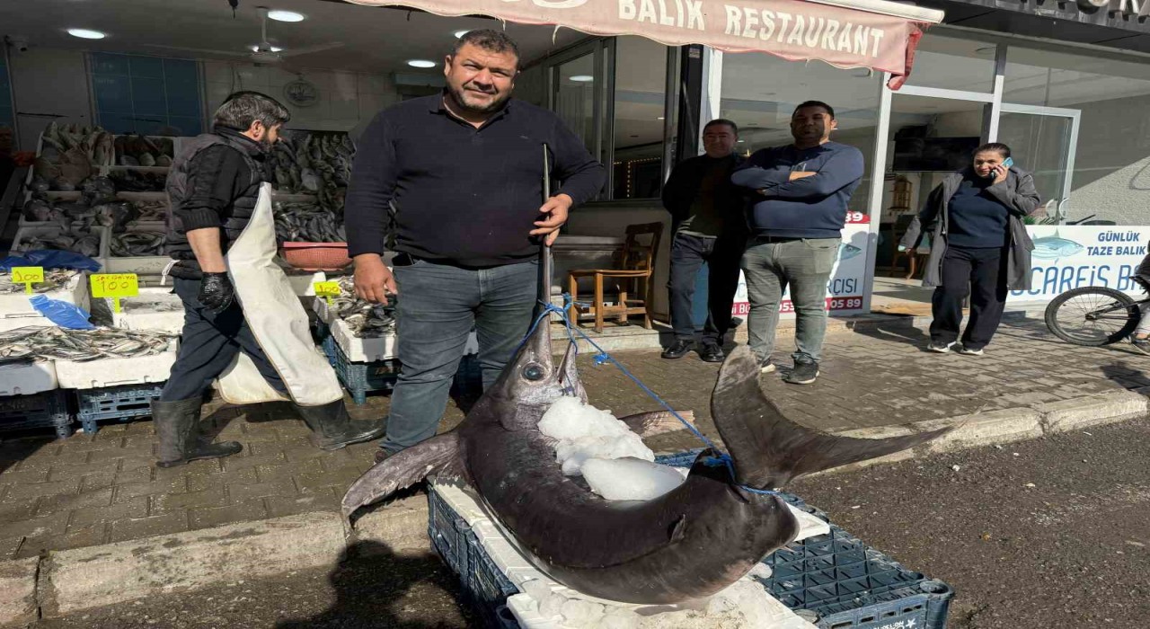 138 kiloluk kılıç balığı ilgi odağı oldu