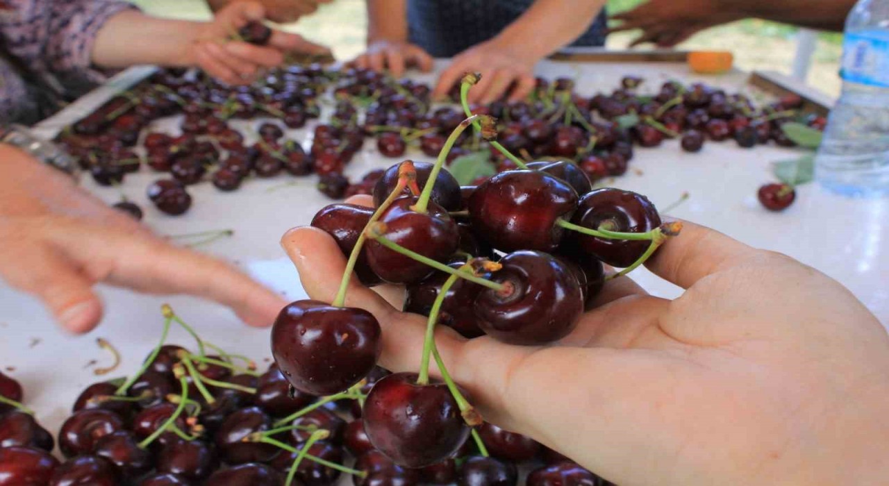 15 Aralıkta okullarda Coğrafi İşaret Günü kutlanacak