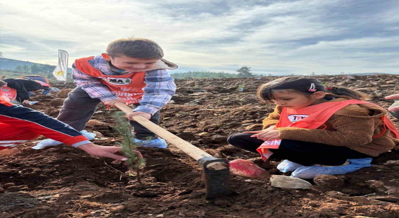 81 İlde 81 Orman projesi Muğla ile devam ediyor