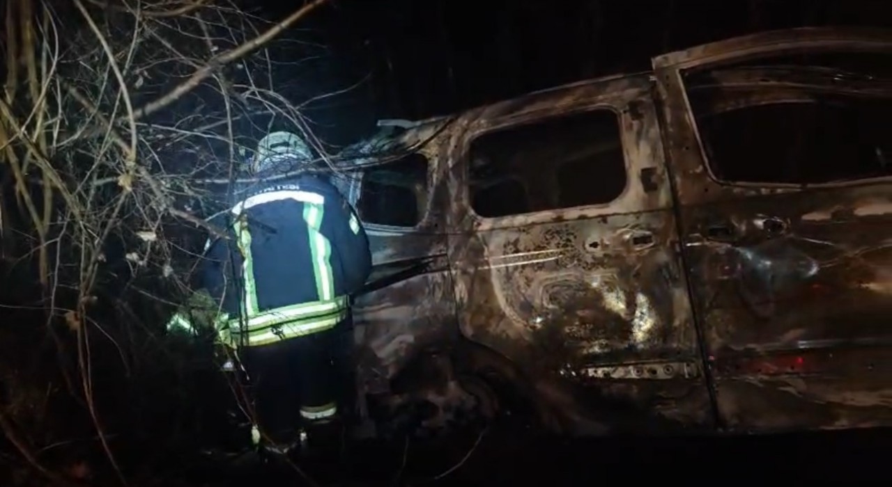 Ağaca çarpan araç alev alev yandı