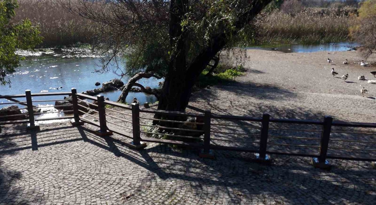 Akyaka Kadın Azmağında doğal dokuyu koruyan çalışma tamamlandı