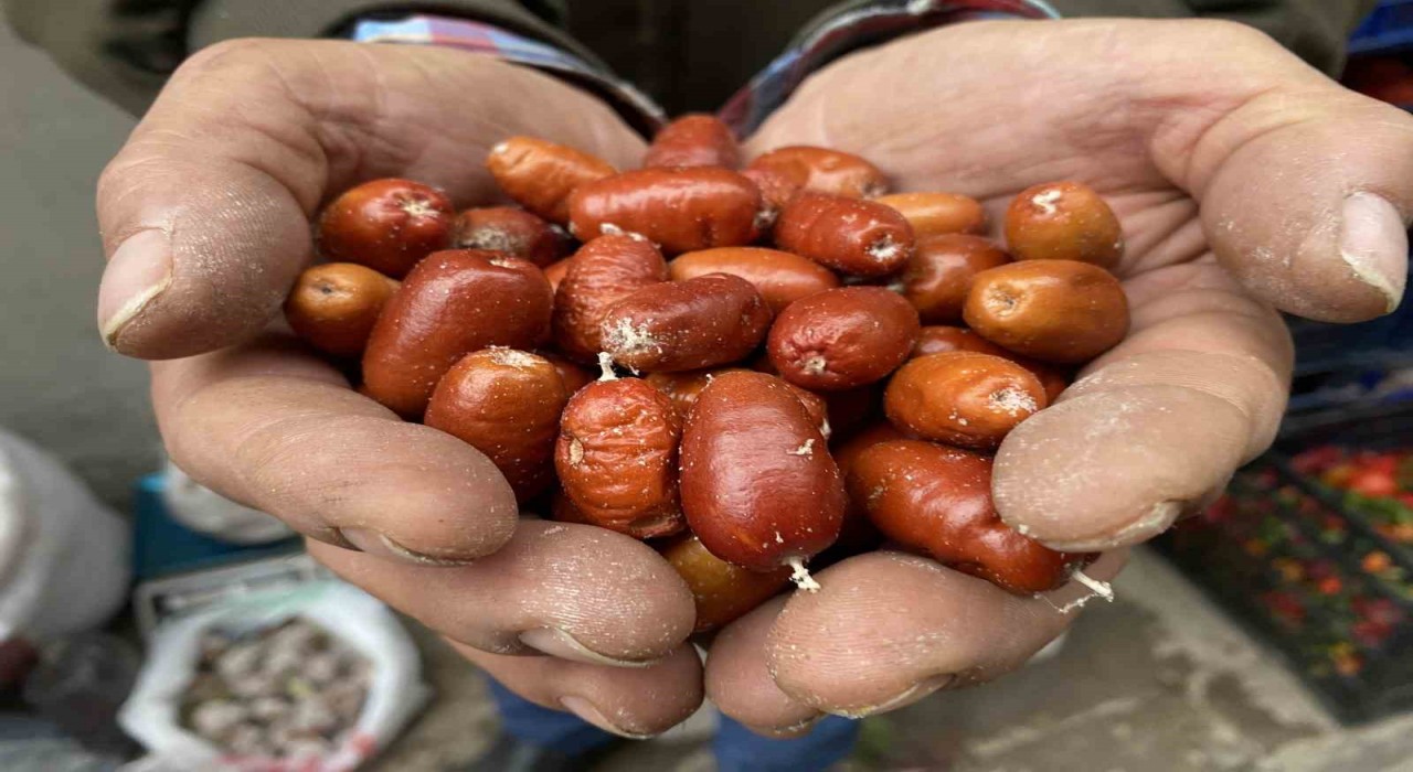 Alaşehirde iğde ağaçlarının sayısı her geçen gün azalıyor