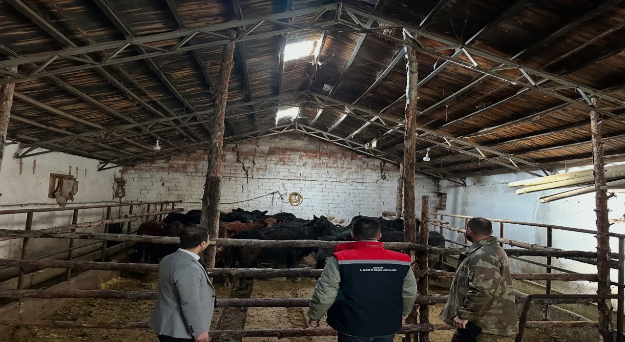 Aydıntepede hayvancılığa destek projesinde ilk hayvan teslimi yapıldı