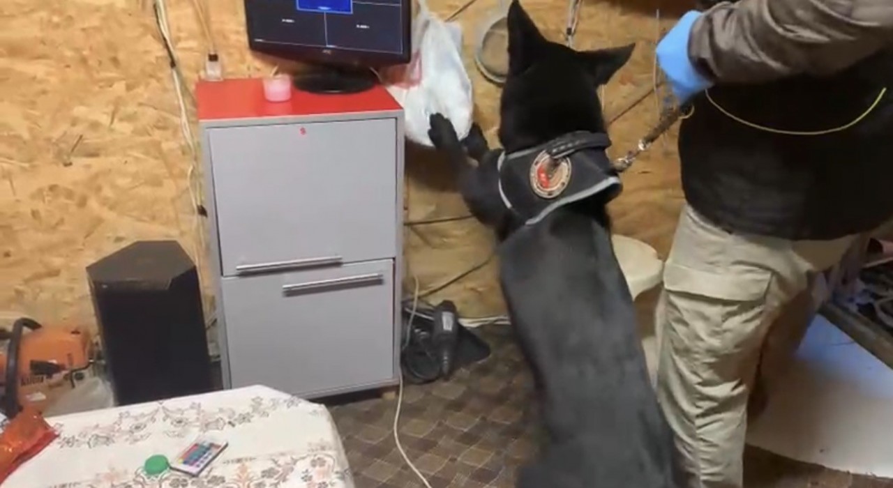 Bağ evindeki uyuşturucu düzeneğini Tony ortaya çıkardı