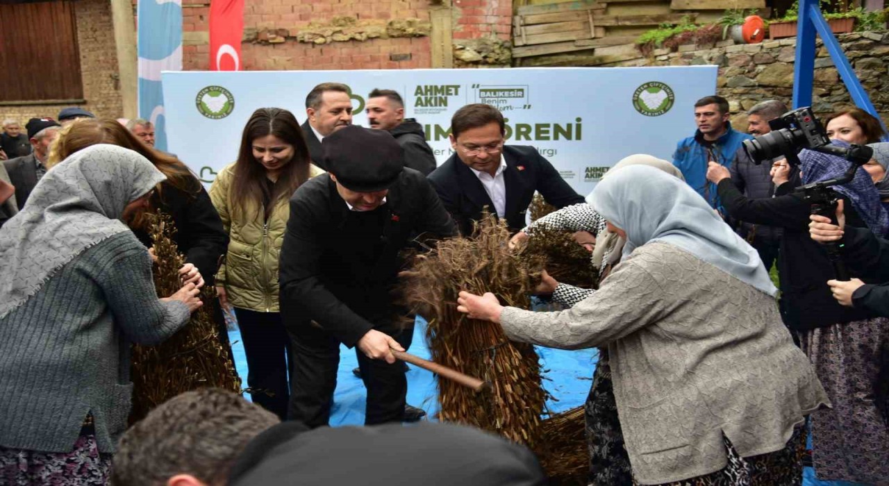 Balıkesirde susam üreticisine büyük destek: Alım fiyatı 155 TLye yükseldi