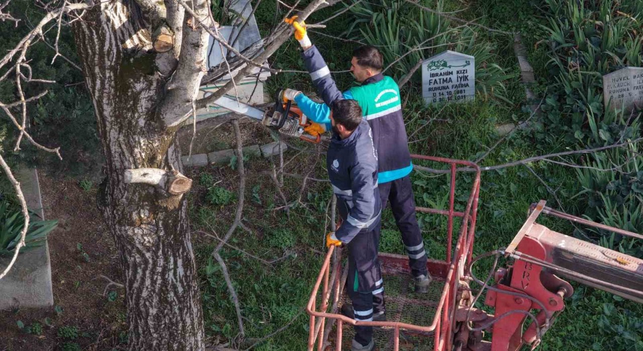 Başiskelede budanan ağaç dalları ihtiyaç sahiplerine yakacak oluyor