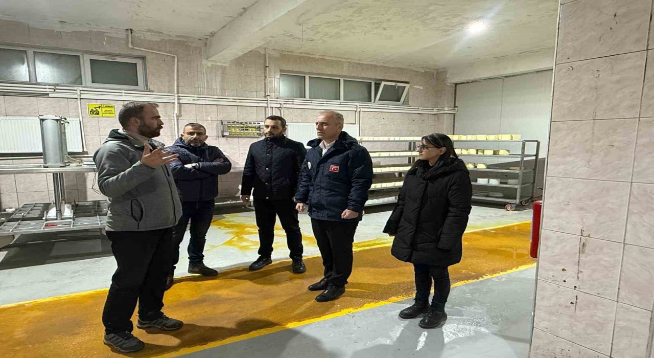 Bayburtta süt işleme ve peynir üretim tesisine çevre denetimi
