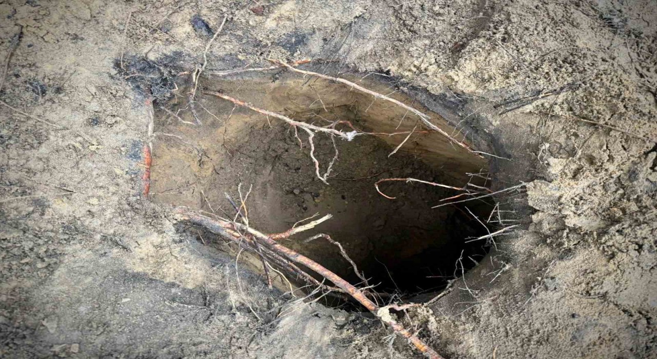 Belarusta 180 kaçak göçmen kazdıkları tünelle Polonyaya geçti