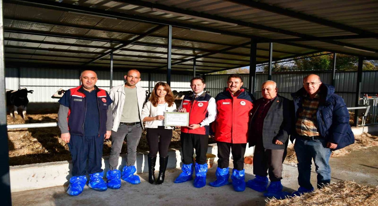 Bigada kaliteli hayvansal üretim yapan üreticiye Ari İşletme Belgesi