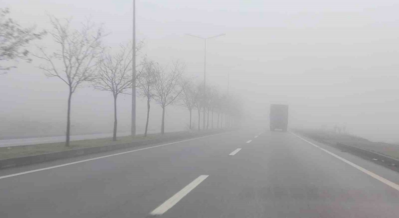 Bingölde yoğun sis etkili oldu