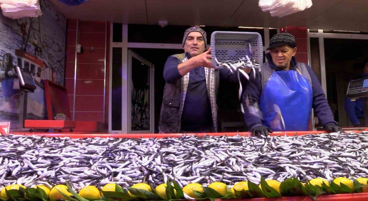 Boluda hamsinin kilosu 150 liraya düştü