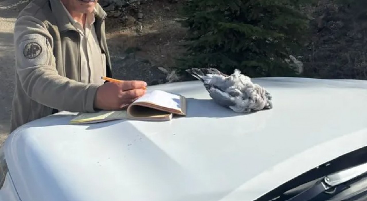 Burdurda kaçak avcılar ekiplere yakalandı