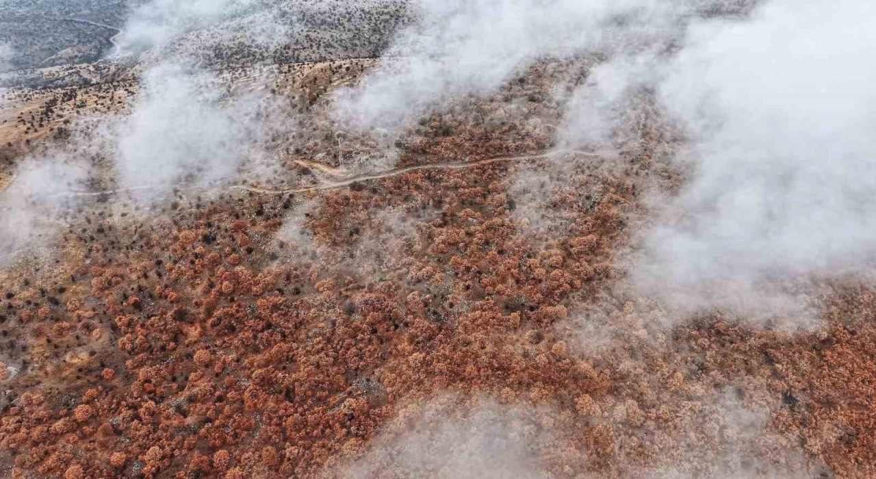 Çankırıda sis ve kızıla bürünen ormanların buluşması mest etti