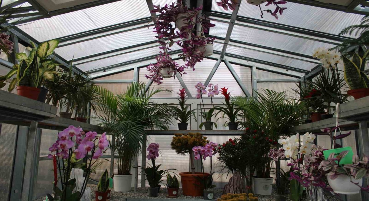 Çiçek Doktoru Ersan: İnsanlar bitkileriyle ilgili yaşamış oldukları sorunları bana iletiyor, ben de onlara çözümler üretiyorum