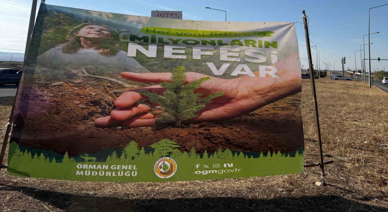 Cizrede havalimanı yolu 450 fidan ile yeşilleniyor