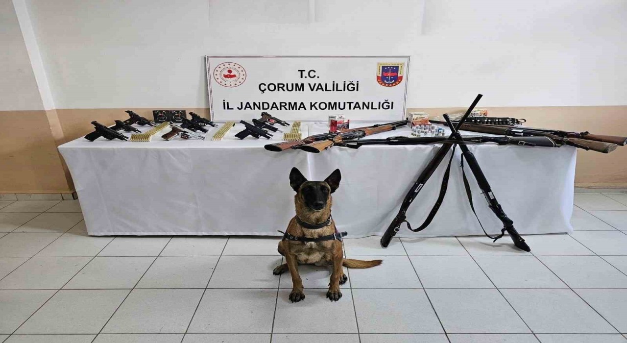 Çorum jandarmasından düğün magandalarına operasyon : 11 gözaltı