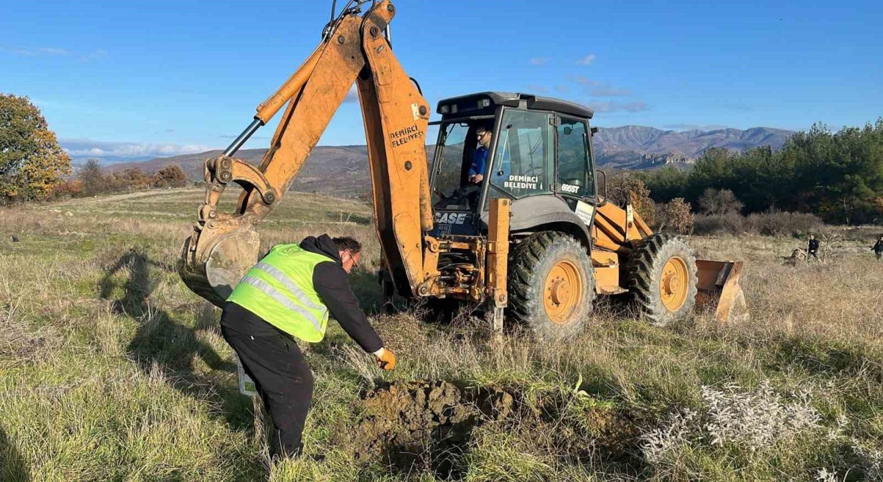 Demircide atıl araziler tarıma kazandırılıyor