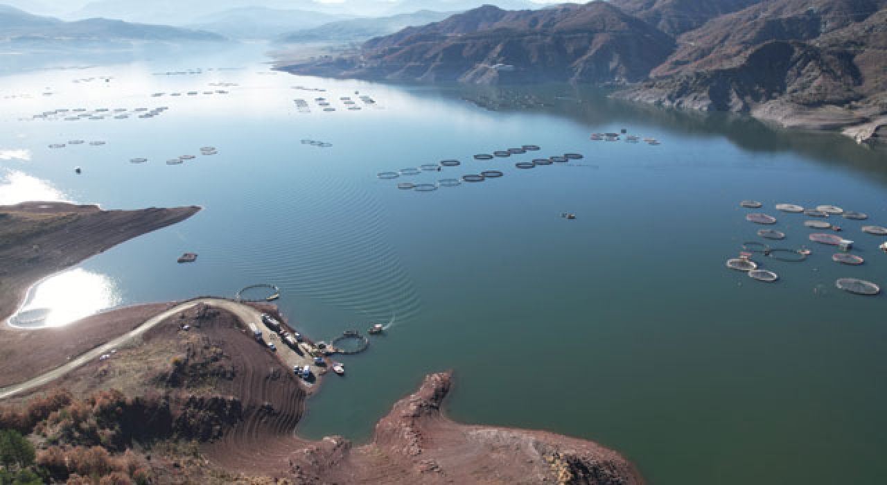 Denize Kıyısı Yok, Dünyaya Somon İhraç Ediyor