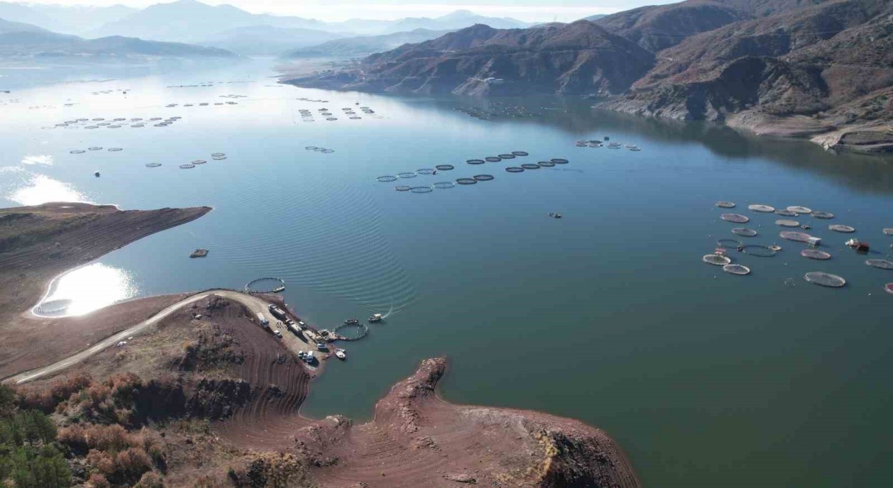 Denizi olmayan Tokatın somonları dünya sofralarına ulaşıyor