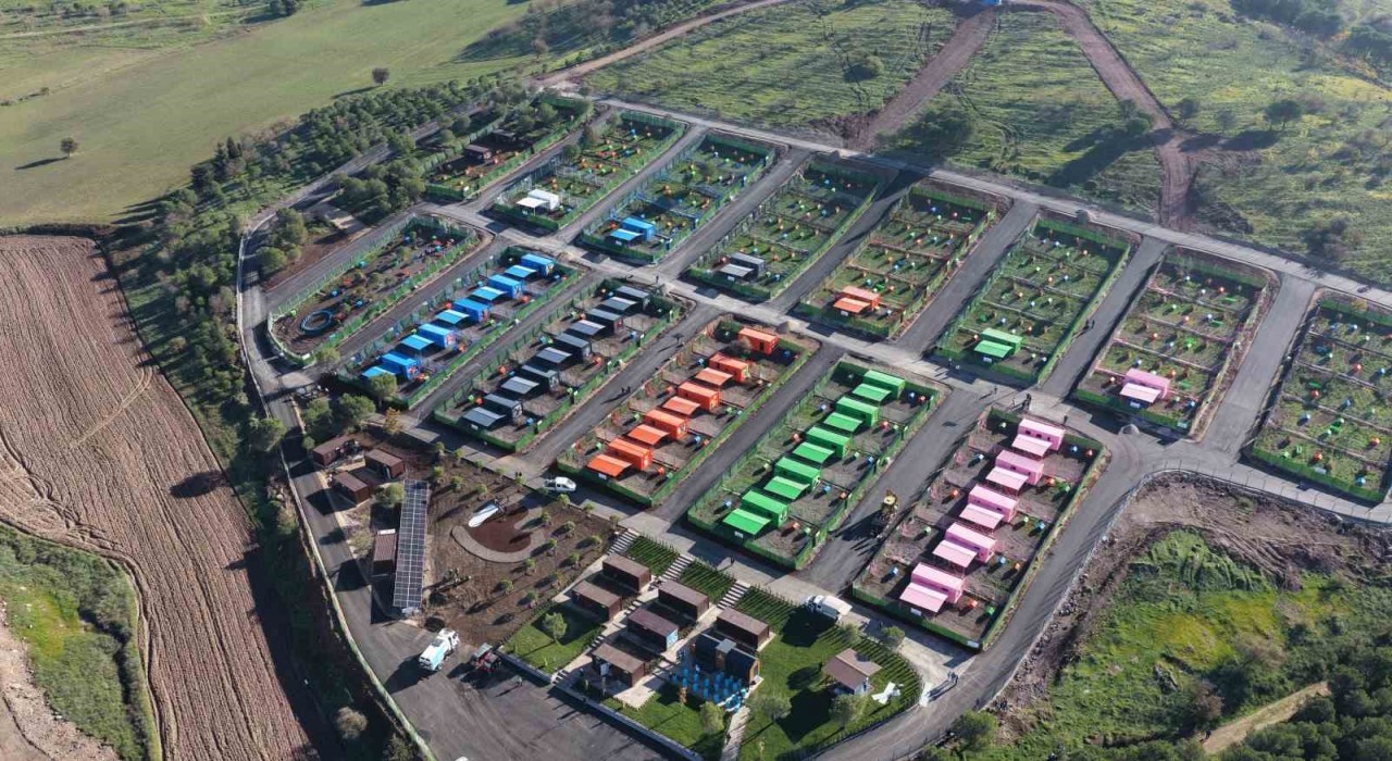 Deprem bölgesinde eskidi, Balıkesirde can dostlara ev oldu