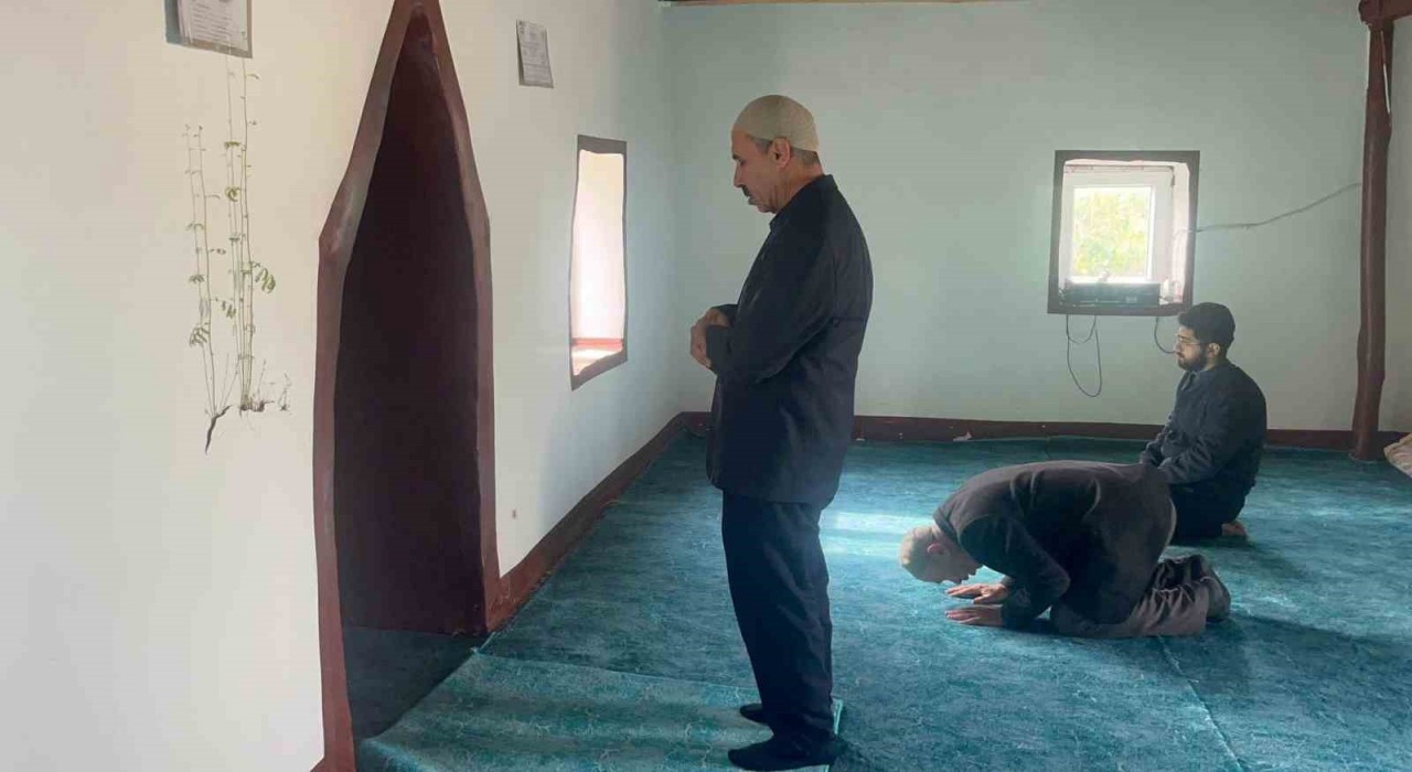 Diyarbakırda bir caminin mihrap kısmındaki duvardan çıkan bitkinin yaprakları yeşerdi