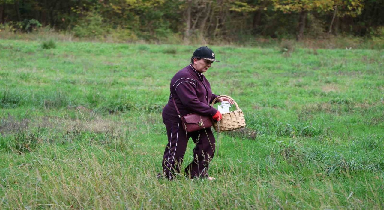 Doğaseverler Ormanyanın zengin biyolojik çeşitliliğini keşfetti