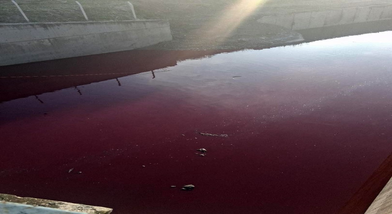 Esenyurtta derenin rengi kırmızıya döndü