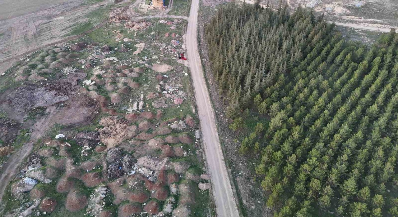 Eskişehirde tezat görüntü: Bir yanda yeşil ağaçlar, bir yanda çöp yığınları