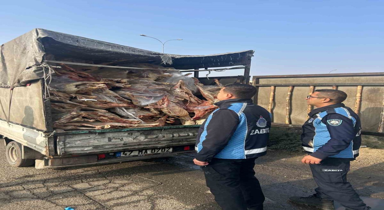 Gaziantepte kamyonet kasasında kilolarca bozuk et ele geçirildi