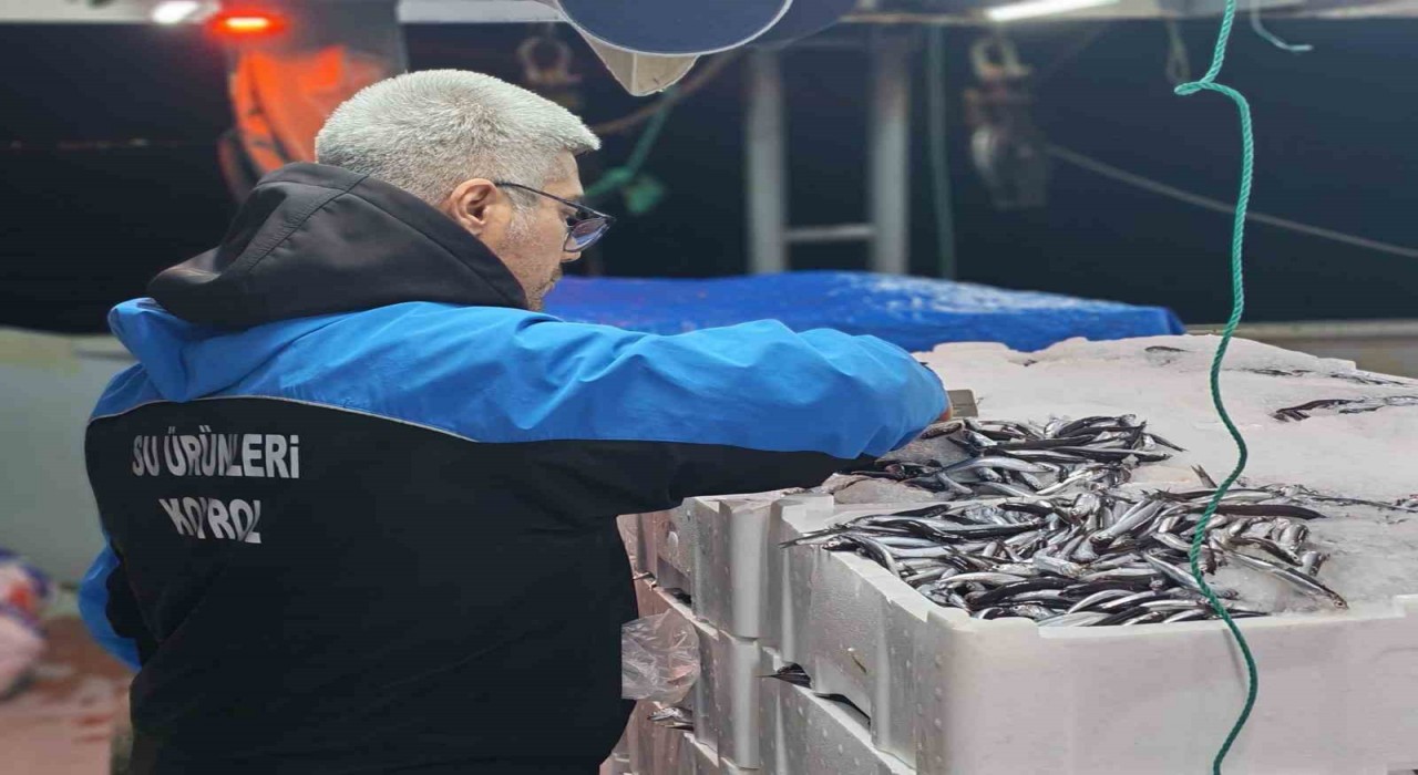 Geliboluda 45 kilo balığa el konuldu, 37 bin 770 lira para cezası kesildi